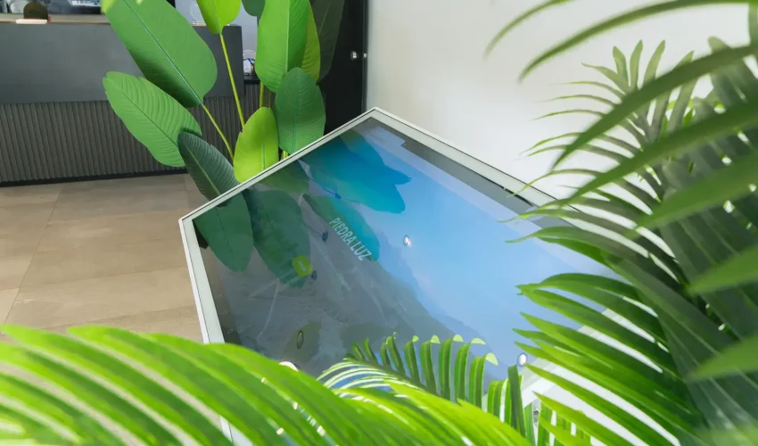 Detalle decorativo de la sucursal Tecnowsky en Los Ángeles con plantas y pantalla de exhibición